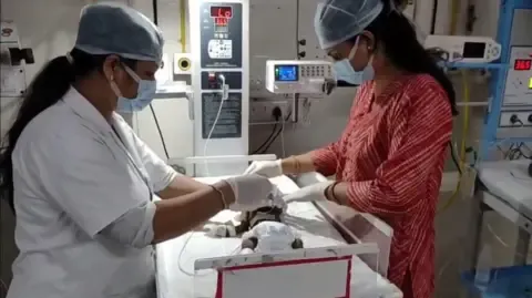 Newborn Placed Alive in the Country Battles for Survival