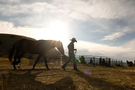 Get to Know the US Female Ranchers Transforming Contemporary Ranch Life