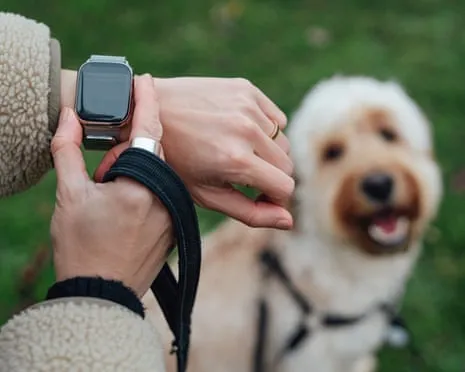 The Reality Regarding Wearable Tech? Living Improves Lacking a Bossy Zealot on Your Arm